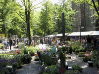 905998 Gezicht op de bloemen- en plantenmarkt op het Janskerkhof te Utrecht, met rechts de Janskerk.